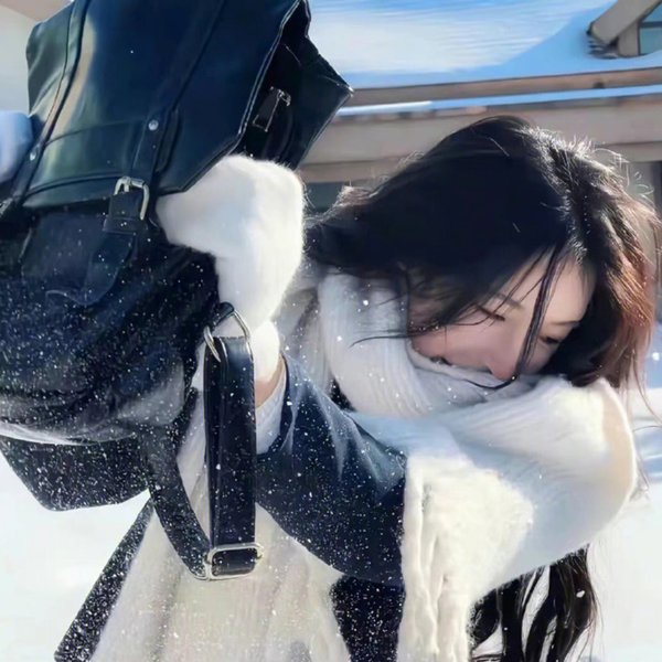 如翼之舟