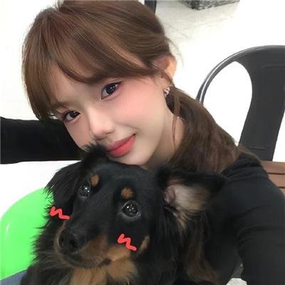 低智商犯罪